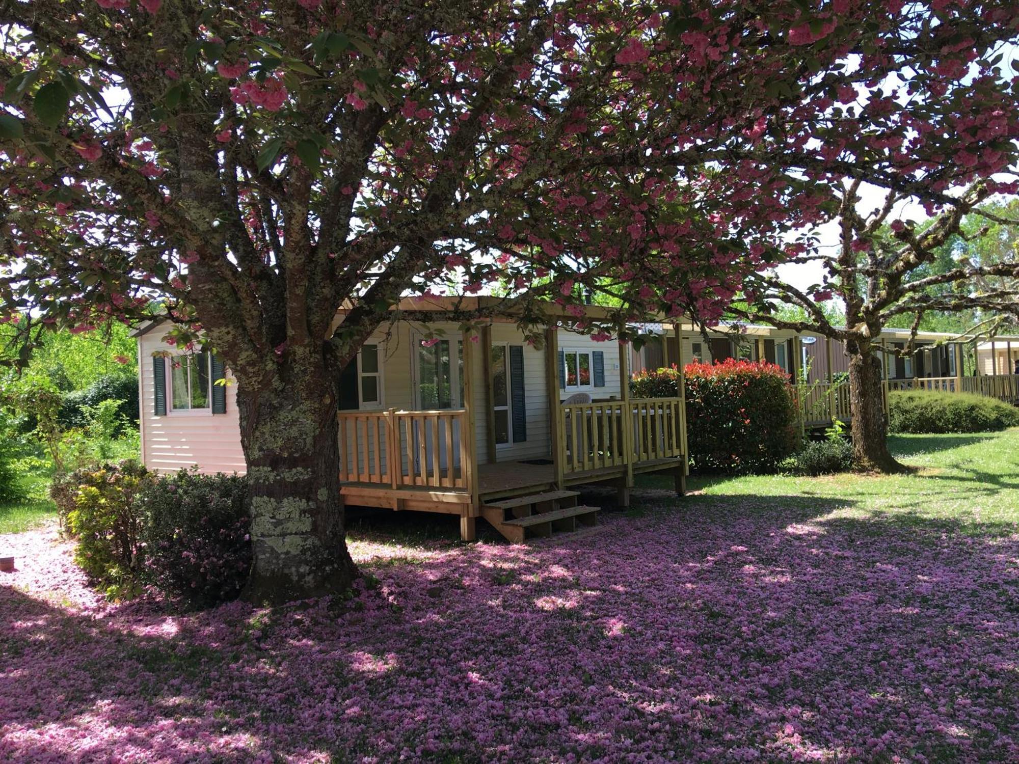 Camping La Ferme De Perdigat Limeuil Екстериор снимка